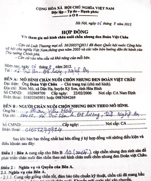 Vỡ nợ  vì nuôi chồn