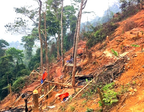 “Vàng tặc” tiếp tục hoành hành  ở Cắm Muộn (Quế Phong)