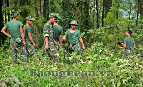 Tuổi trẻ Nghệ An ra quân thu dọn thực bì