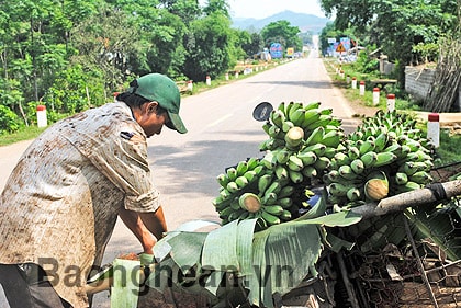 Bài 1: Một dải trù phú