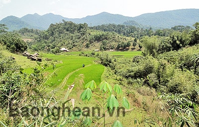 Người tiên phong ở bản Na Xai