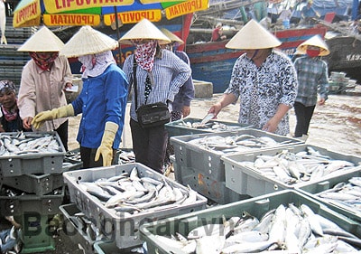 Chính sách khó đi vào cuộc sống