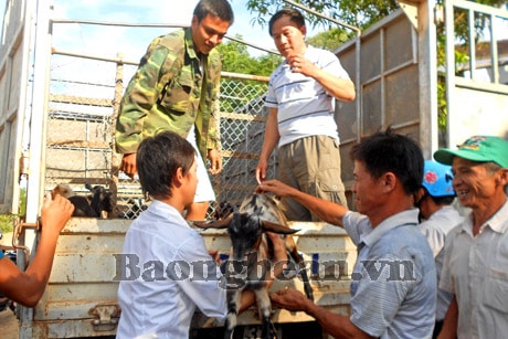 Hỗ trợ dê giống cho xã Thanh Thuỷ và Tổng đội TNXP 2