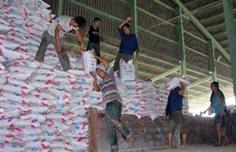 Phân bón giả đang ở mức báo động