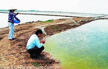 Phòng ngừa dịch bệnh nuôi trồng thủy sản vào mùa mưa