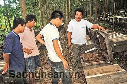 Bài 3: Nghề nuôi ong dạo