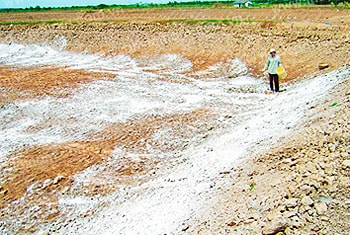 Sử dụng hóa chất diệt ốc trong ao tôm