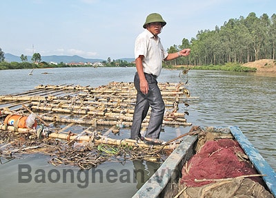 Nghề nuôi hàu trên dòng Mai Giang