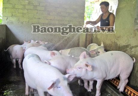 Người đi đầu trên vùng đất khó