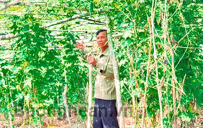 Dấu ấn vị thủ lĩnh xóa đói nghèo