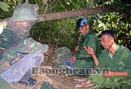 Tôi đi săn mật ong rừng!