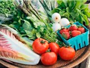 Người mỡ máu cao kiêng ăn gì?