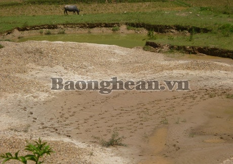 Tiếp diễn nạn khai thác vàng trái phép ở Cắm Muộn - Quế Phong