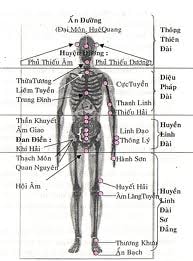 Xoa bóp phòng chống viêm loét dạ dày, tá tràng