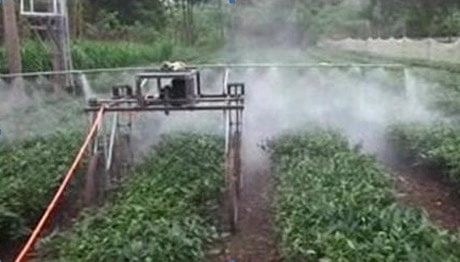 Lựa chọn thiết bị tưới nước tiết kiệm cho cây chè