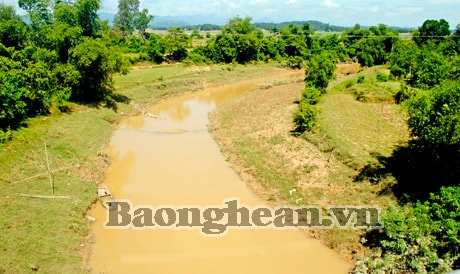 Niềm mong mỏi của người Bích Hào