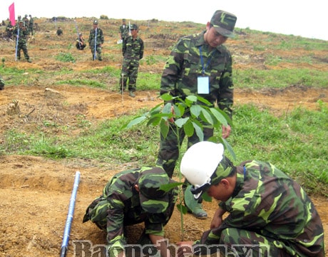 Ứng phó với biến đổi khí hậu những nỗ lực