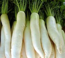 Chữa khản tiếng bằng củ cải trắng