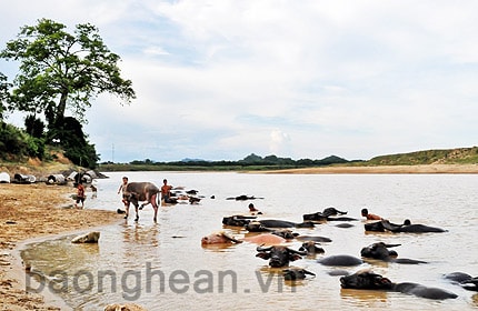 Mấy khúc sông Con...