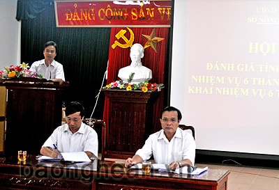 Trồng mới 800 ha chè và 1.500 ha cây cao su trong 6 tháng cuối năm