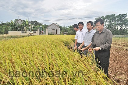 Bài 1: Bảo đảm an ninh lương thực và an sinh xã hội