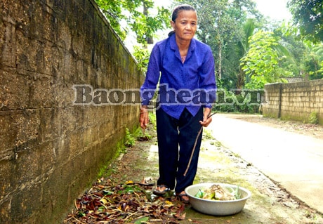 13 năm tự nguyện nhặt rác