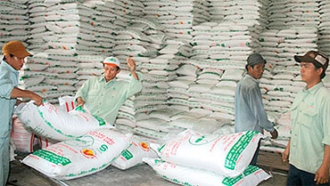 Đề xuất gia hạn thời gian xuất khẩu đường