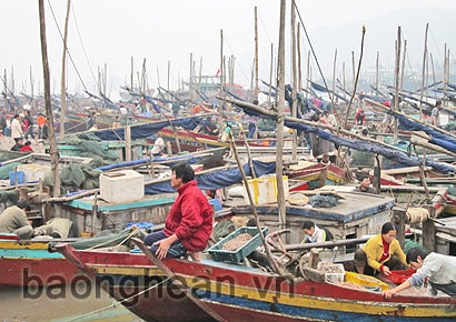 Quỳnh Lưu chủ động phòng chống cơn bão số 6