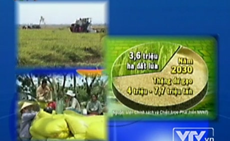 Giảm diện tích trồng lúa hay thay đổi tư duy làm nông nghiệp?