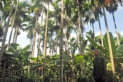 “Vua cau” đồng luốc