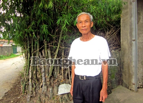 Hạt gạo tình thương của người cựu chiến binh