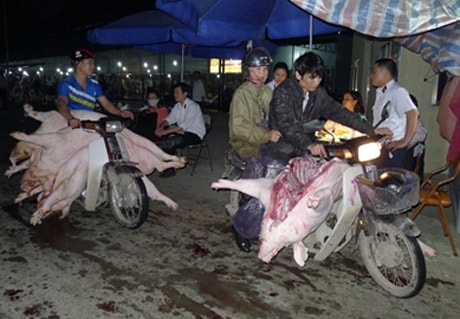 Thịt mất vệ sinh và tù mù chất cấm