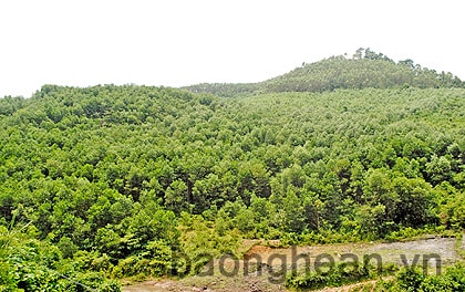 Phát triển rừng phải song hành với tạo sinh kế cho người dân