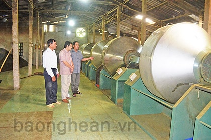 Giải pháp để nông dân gắn bó với vùng chè