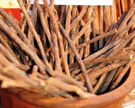 Cam thảo – Cây thuốc trị viêm loét dạ dày hiệu quả