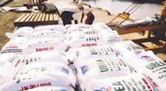 Việt Nam có thể chuyển từ nhập sang xuất khẩu phân bón