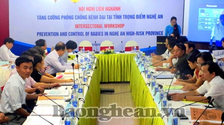 Tăng cường các biện pháp phòng chống bệnh dại có hiệu quả