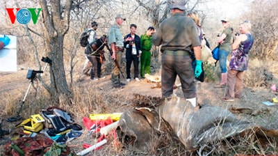 Nghệ sỹ hài Xuân Bắc làm Đại sứ bảo vệ Tê giác