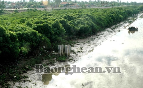 Bảo tồn và phát triển đa dạng sinh học vùng biển ven bờ