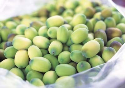 Chữa huyết áp thấp bằng Đông dược