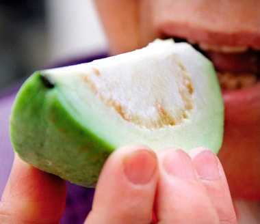 Ăn ổi chữa bệnh trĩ