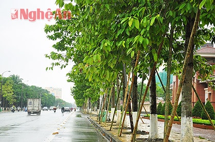 Triển khai kế hoạch ứng phó với bão số 10