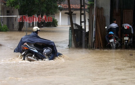 Khẩn cấp ứng cứu người dân vùng lũ ở Hoàng Mai