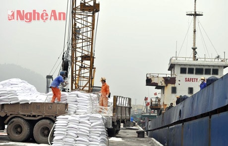 Đồng hành cùng doanh nghiệp xuất nhập khẩu