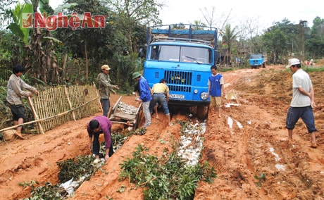 Giao thông vùng nguyên liệu khó khăn: Sản phẩm bị ép giá