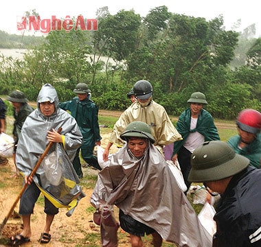 Gia cố xong thân đập Hồ Thành