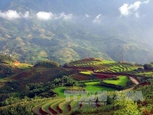 Hai danh thắng ở Sa Pa được trao Kỷ lục Việt Nam