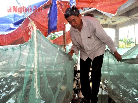 Xóm giáo Lâm Thành sống "tốt đời, đẹp đạo"