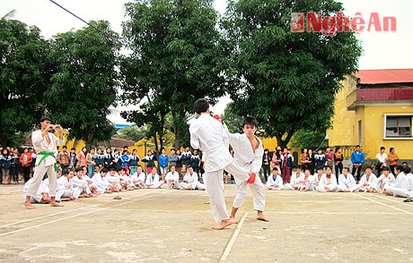 Chuyện "quân xanh, quân đỏ" ở Đại hội Liên đoàn võ thuật Nghệ An