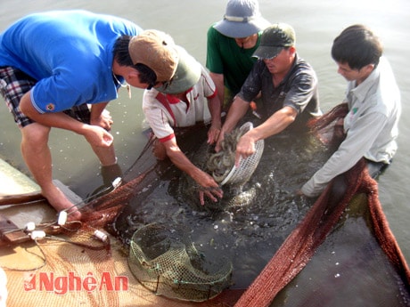 Cần có những chính sách đầu tư dài hạn